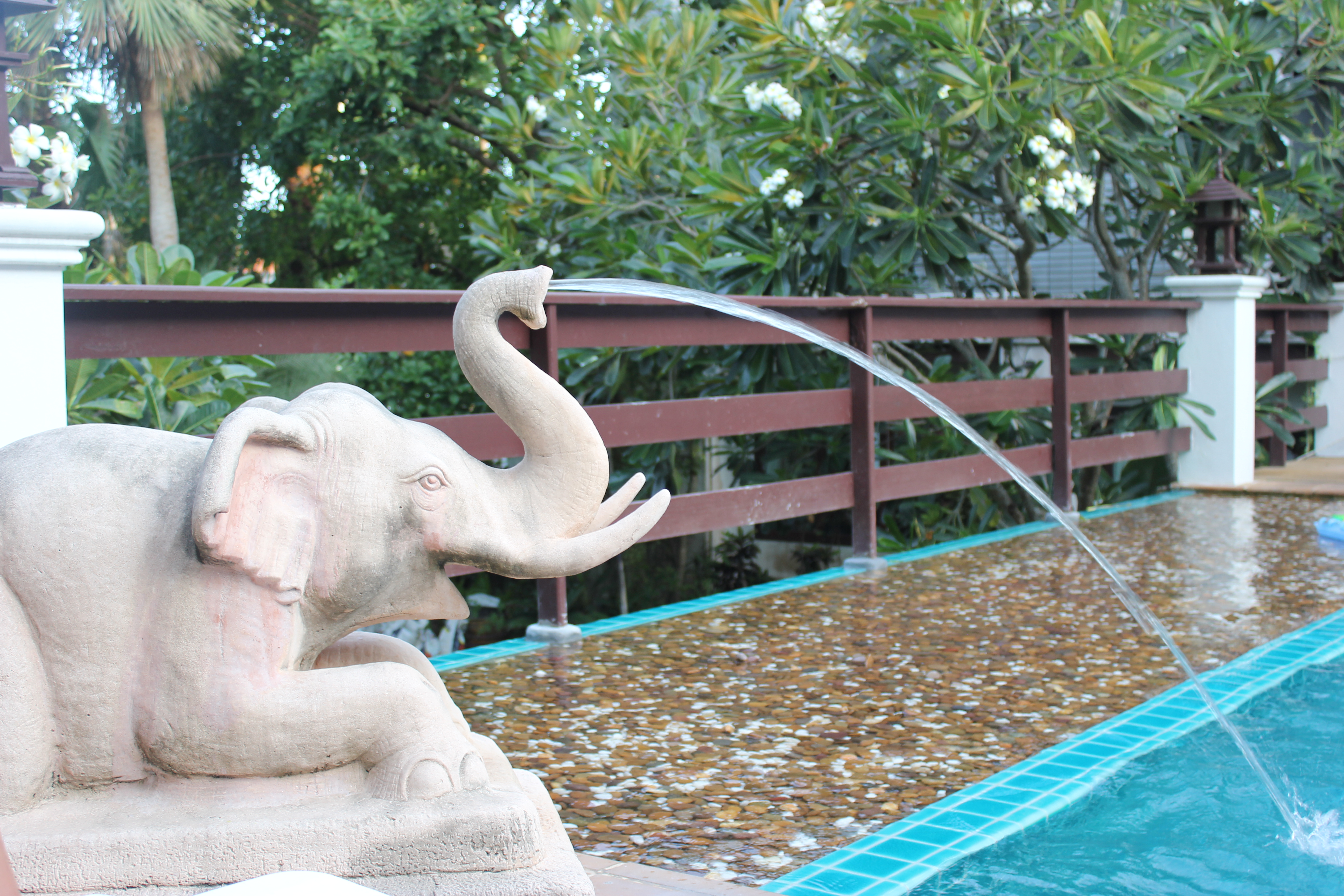 Imag d'une fontaine éléphant sea Breeze bungalows